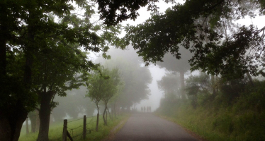 Camino Primitivo desde Lugo