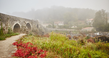 Camino a Fisterra desde Santiago