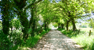 Camino Francés desde Sarria en Turismo Rural - Alojamientos con encanto