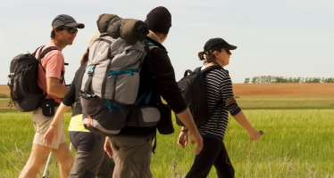 Camino desde Sarria en etapas cortas