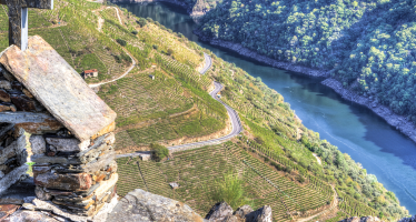 Excursión privada Ribeira Sacra